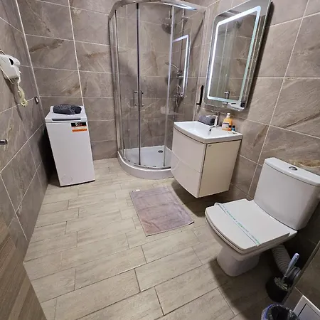 Large Family - Piscina Interioara Sauna Gym *